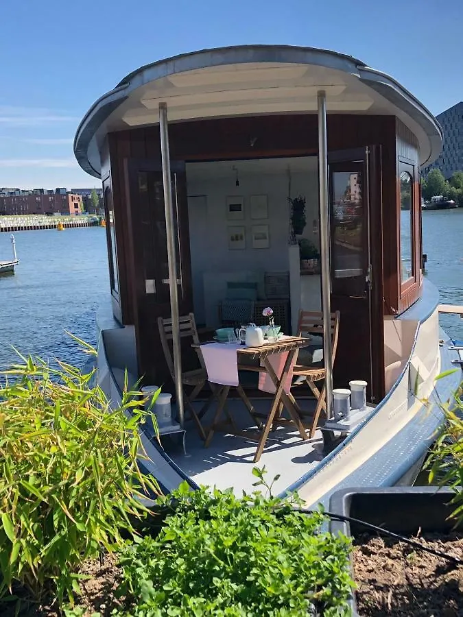 Houseboat Ms Rhy Blitz Hotel Amsterdam